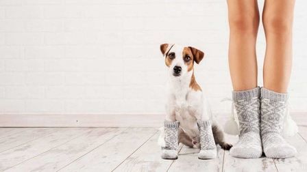 Top Proven Ways to Warm Up Cold Floor Top Proven Ways to Warm Up Cold Floor